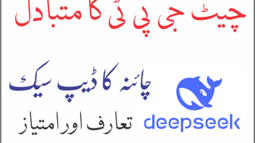 ڈیپ سیک چیٹ DeepSeek Chat 5