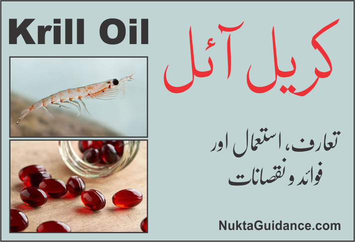 کریل آئل کے فوائد Krill Oil Nukta 1